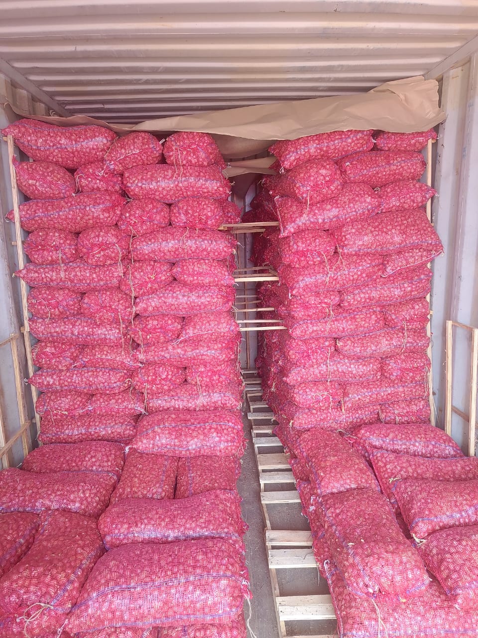 Shallot red onion packing stock